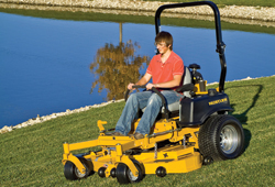 virtuallawn.gif