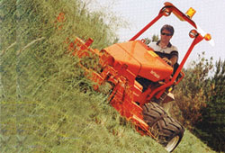 virtuallawn.gif