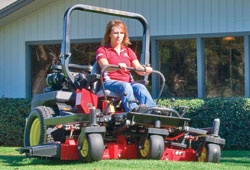 virtuallawn.gif