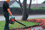 virtuallawn.gif