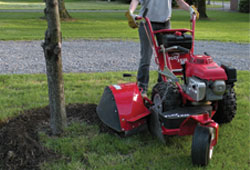 virtuallawn.gif