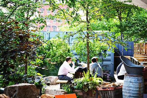 Groundswell Design Group