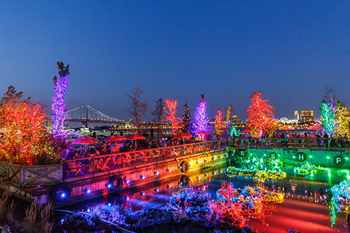 Groundswell Design Group