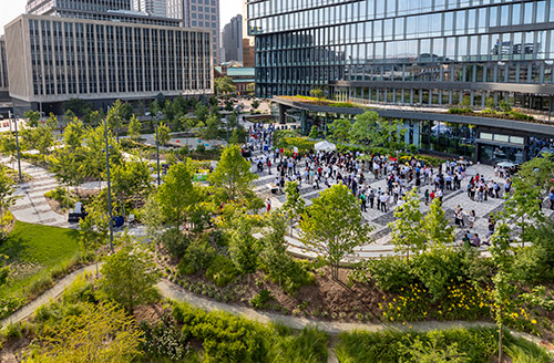 DAVID RUBIN Land Collective