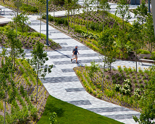 DAVID RUBIN Land Collective