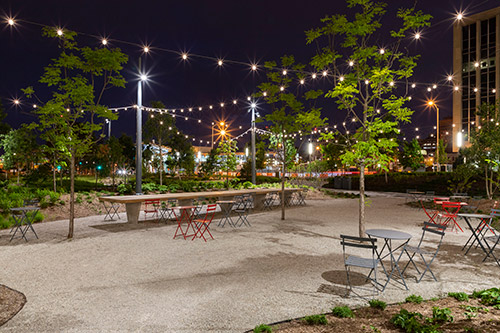 DAVID RUBIN Land Collective