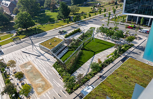 DAVID RUBIN Land Collective