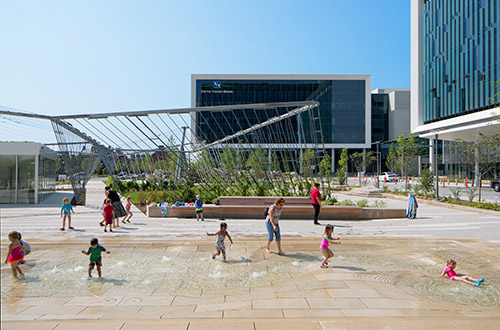 DAVID RUBIN Land Collective