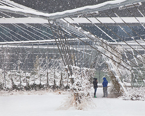 DAVID RUBIN Land Collective