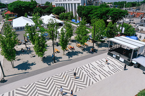 DAVID RUBIN Land Collective