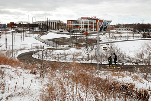 DAVID RUBIN Land Collective