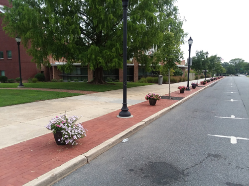 Landscape Architectural Services