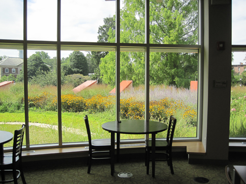 Landscape Architectural Services