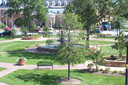 Landscape Architectural Services