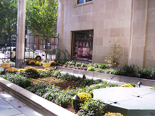 Susan M. Mattison Landscape Architecture & Planning