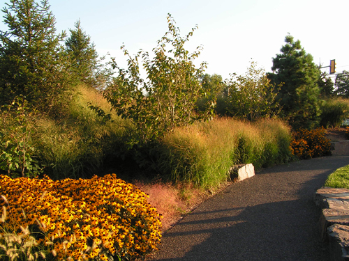 Charlesworth Fleischacker LLC