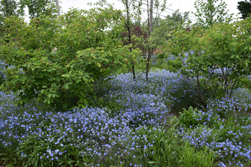 Charlesworth Fleischacker LLC