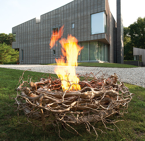 Fire in the Landscape