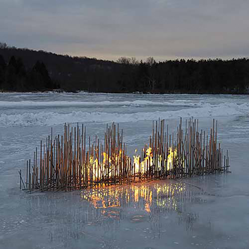 Fire in the Landscape