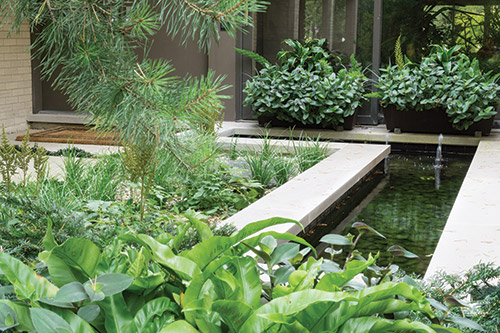 The Winnetka Home With a LiveWall