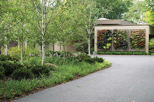 The Winnetka Home With a LiveWall