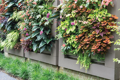 The Winnetka Home With a LiveWall