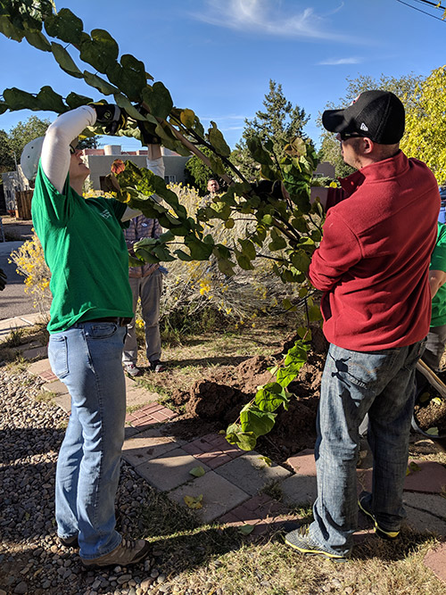 ASLA New Mexico Chapter