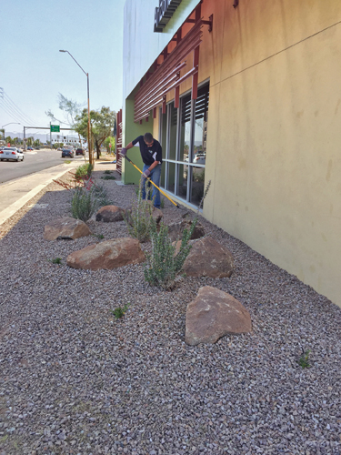 Healing a Landscape