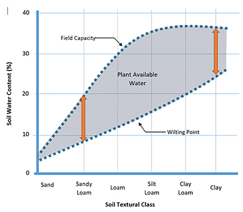 Researching Soil Types for Rain Gardens