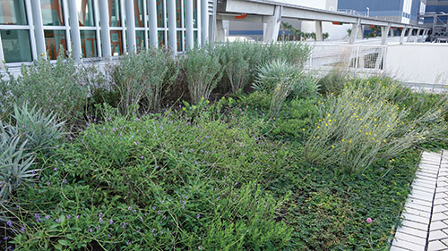 Green Roof Stimuli
