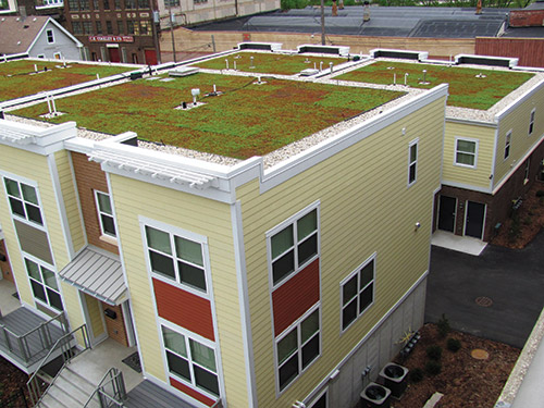 Green Roof Stimuli