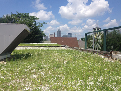 Green Roof Stimuli