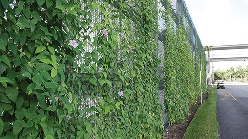 Green Roof Stimuli