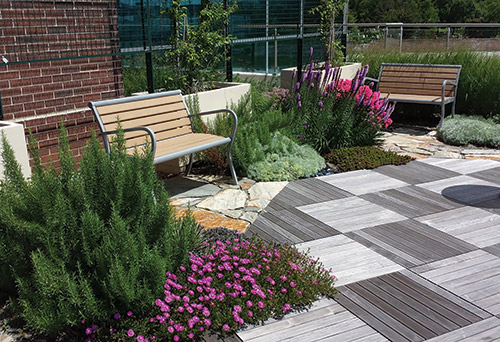 Green Roof Stimuli