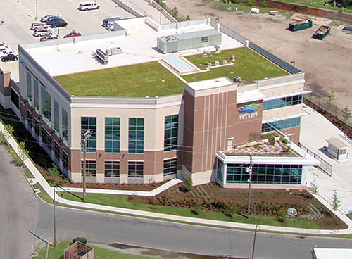 Green Roof Stimuli