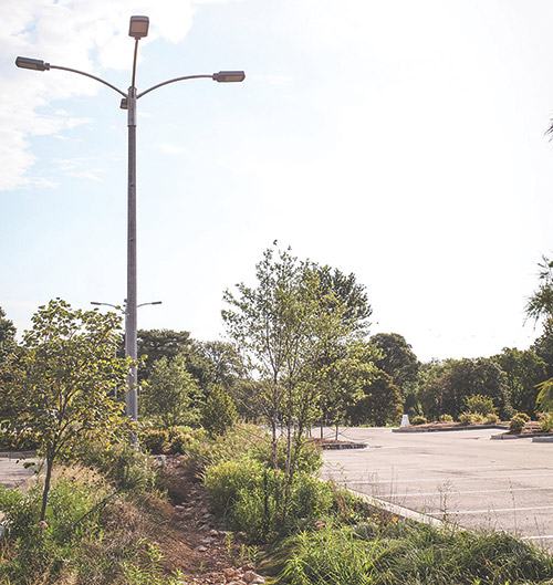 More Than Just a Parking Lot