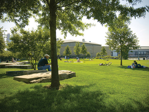 Reawakening the Waterfront