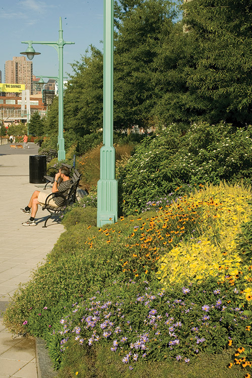 Reawakening the Waterfront