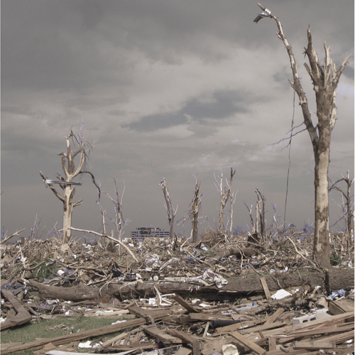 A Community Grove