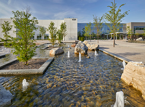 The Center 