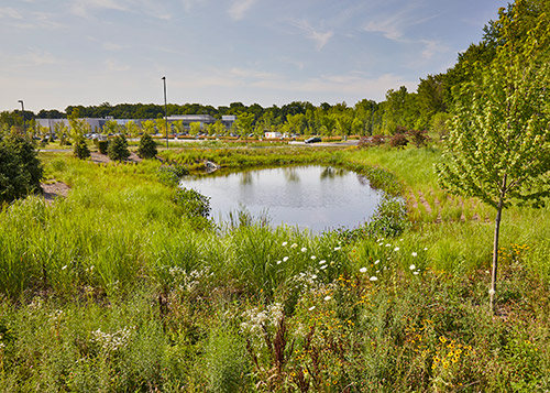 The Center 