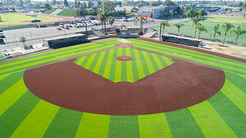 Play Ball