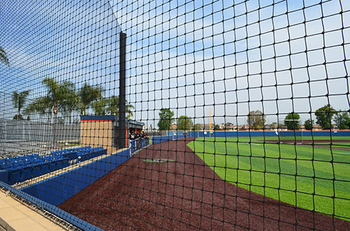 Play Ball