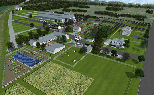 A Farm in the City