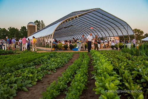A Farm in the City