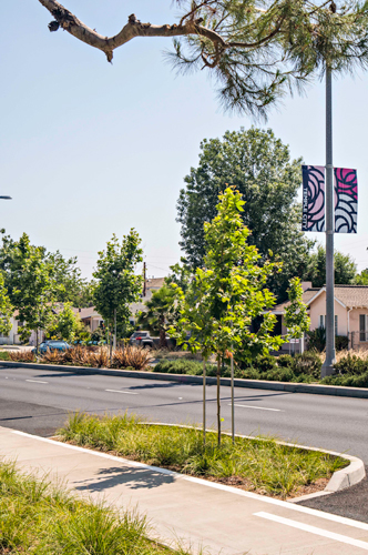 Rosemead Boulevard Safety Enhancements and Beautification 