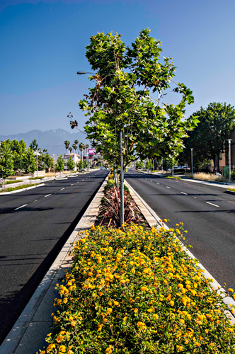 Rosemead Boulevard Safety Enhancements and Beautification 