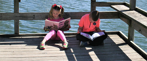 Literature in the Landscape