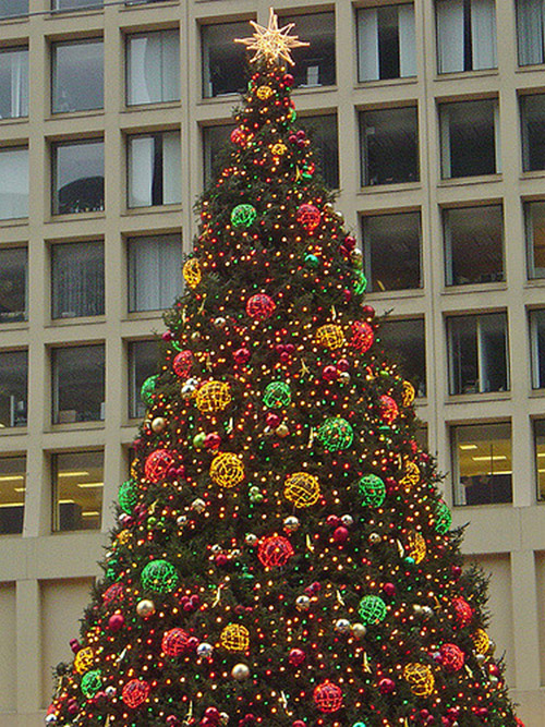 BrightView Delivers Chicago's 105th Christmas Tree