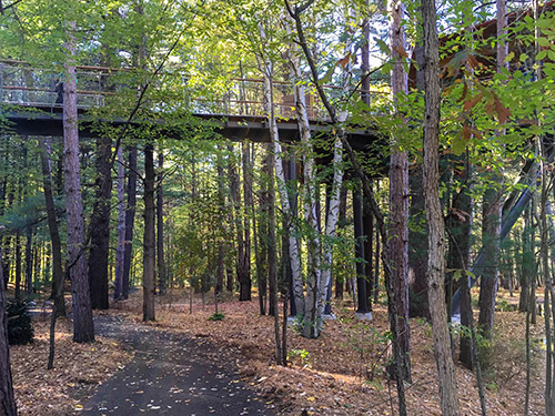 Whiting Forest Installs Permeable path